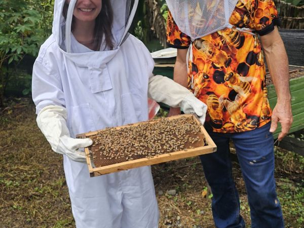 Imagen de Galer&iacute;a 05 - Tour de Abejas