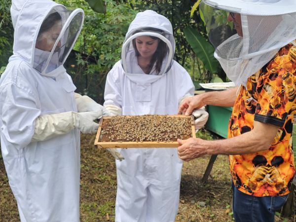 Tour de Abejas