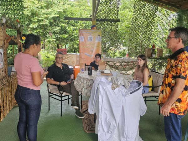 Imagen de Galer&iacute;a 07 - Tour de Abejas