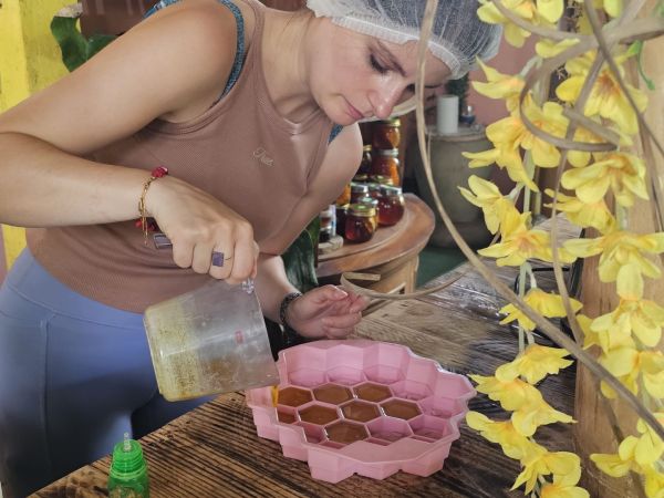 Imagen de Galer&iacute;a 01 - Tour de Abejas