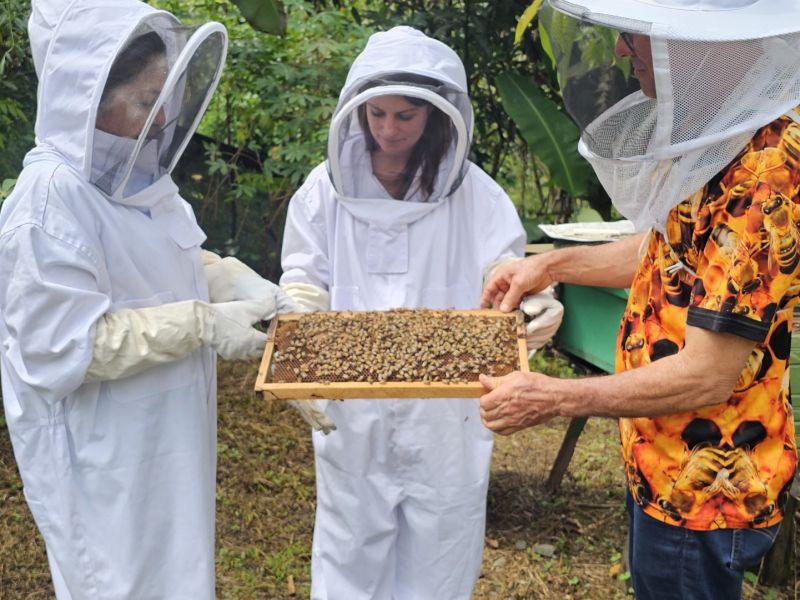 Tour de Abejas